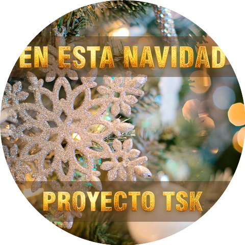 Proyecto Tsk