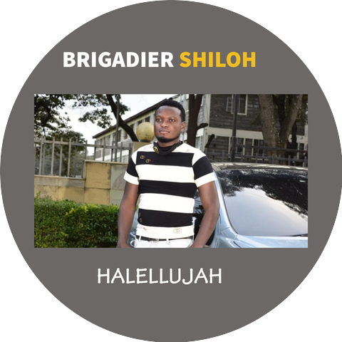 Brigadier Shiloh
