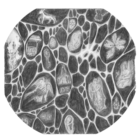 Optic Nerve