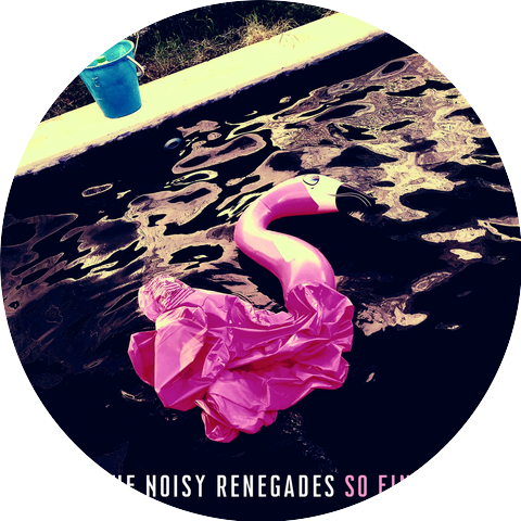 The Noisy Renegades