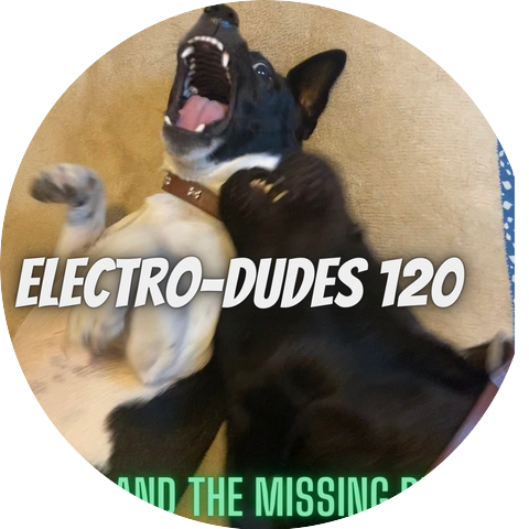 Dude and the missing rugs
