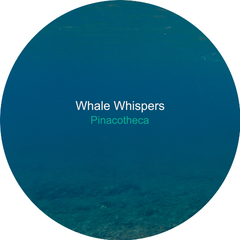Whale Whispers