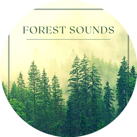 Deep Forest