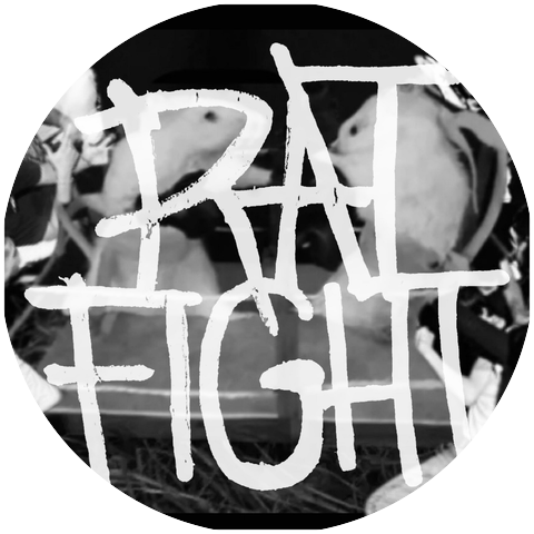 Rat Fight