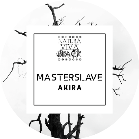 Masterslave
