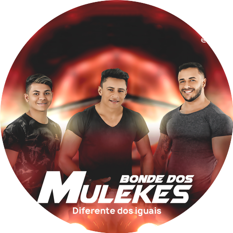 Bonde dos Mulekes