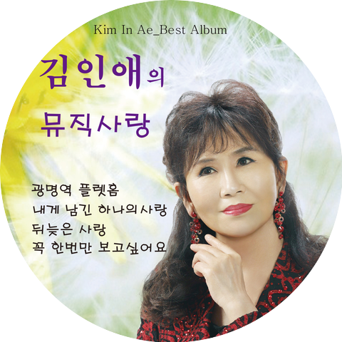 김인애 (kim in ae) Kim In Ae