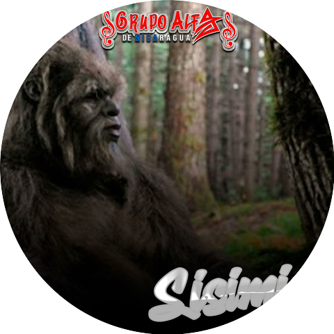 Grupo Alfa De Nicaragua