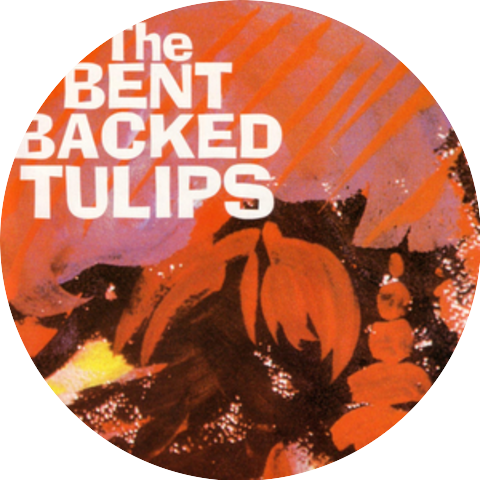 The Bent Backed Tulips