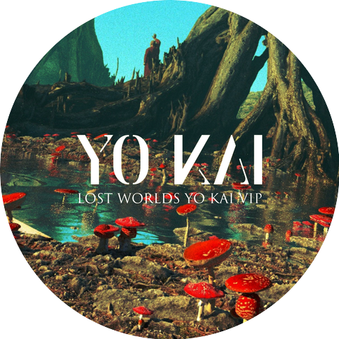 Yo Kai