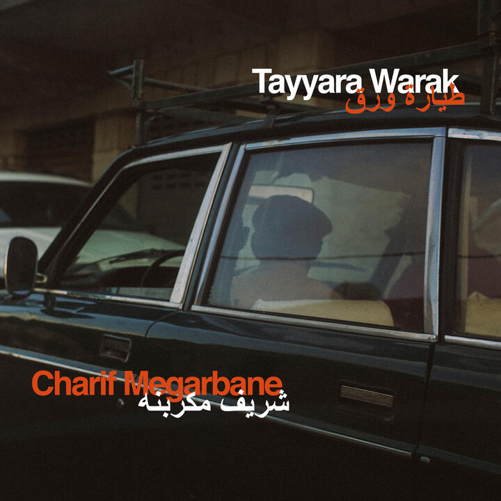 Charif Megarbane