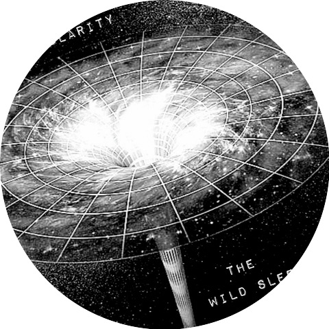 the wild sleep