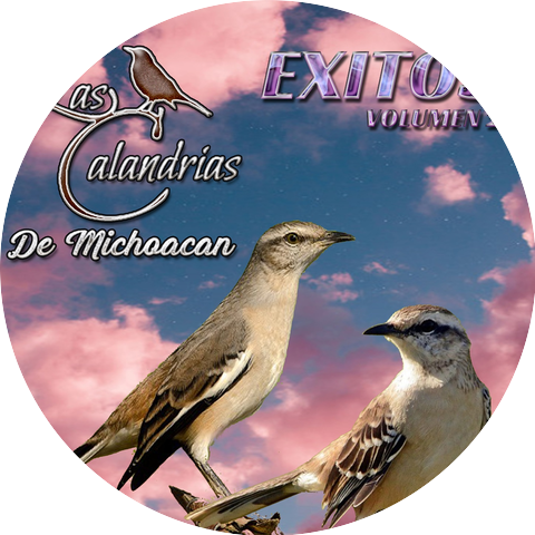 Las Calandrias de Michoacan