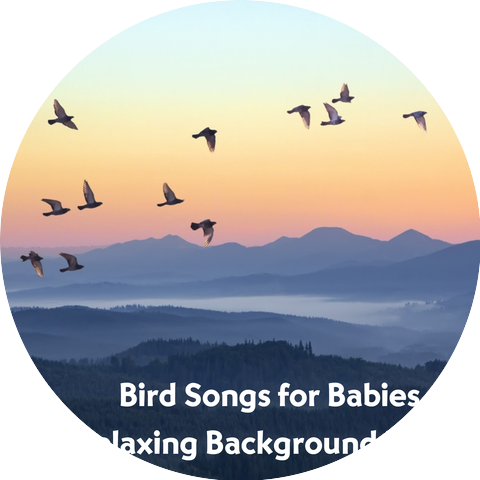 Baby Beethoven & Natural Sounds Selections & Zen Sounds
