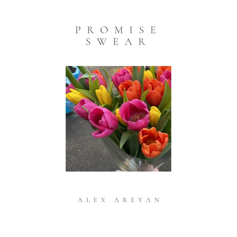 Alex Areyan