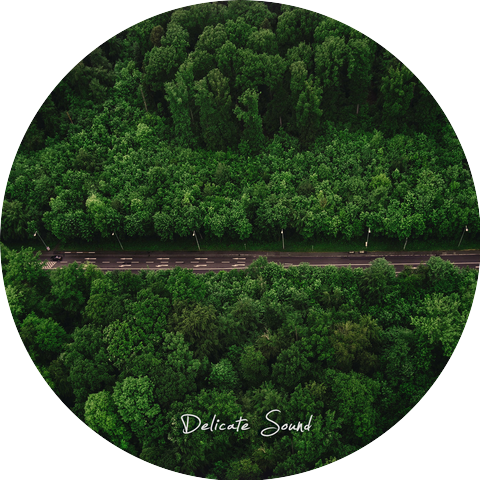 DelicateSound