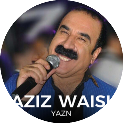 Aziz Waisi