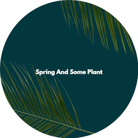 Easy Listening Onsen Music