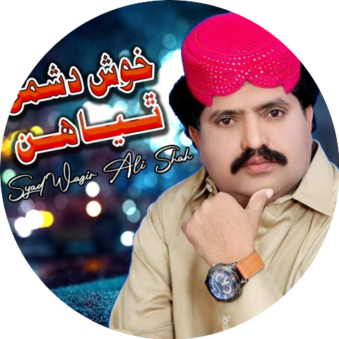 Said Wazir Ali Shah