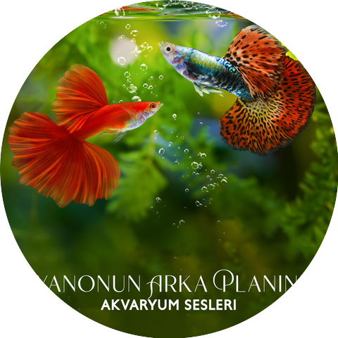 Bebek Uyku Ninnileri