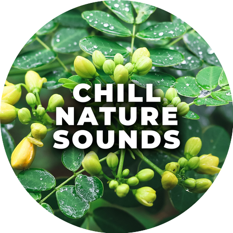 Chill Nature Sounds
