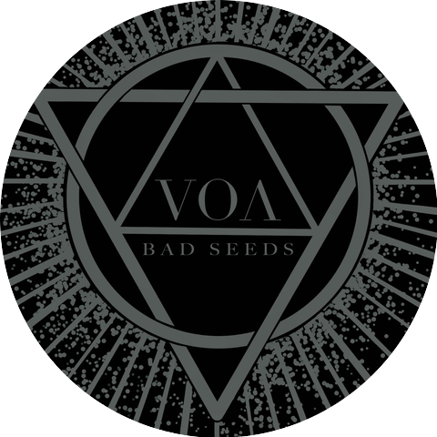 Void of Animus