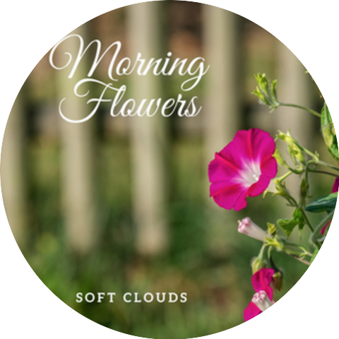 Soft Clouds