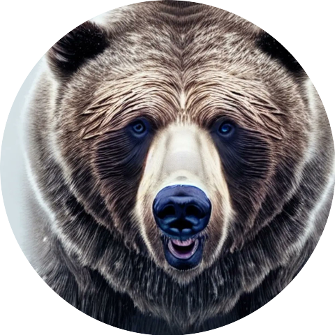 The Official Grizzly