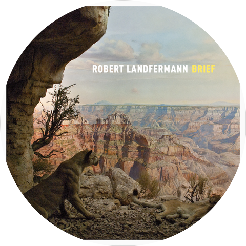 Robert Landfermann