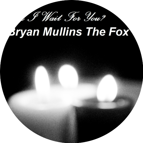 Bryan Mullins The Fox