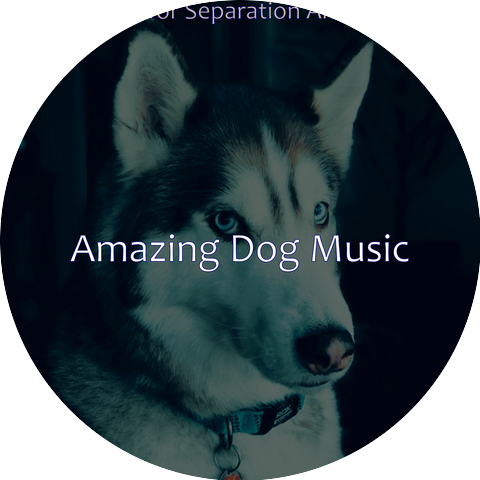 Amazing Dog Music