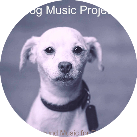 Dog Music Project