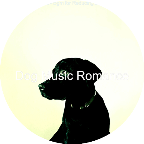 Dog Music Romance