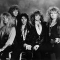 Whitesnake