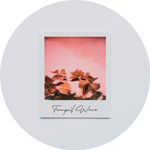 Natsu & Akasha & Effortless