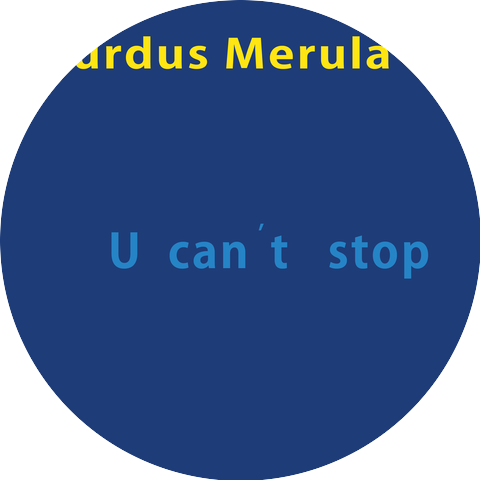 Turdus Merula