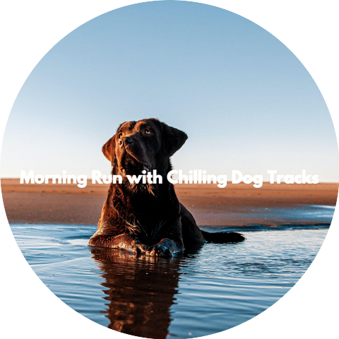 Music for Hotels Background Music