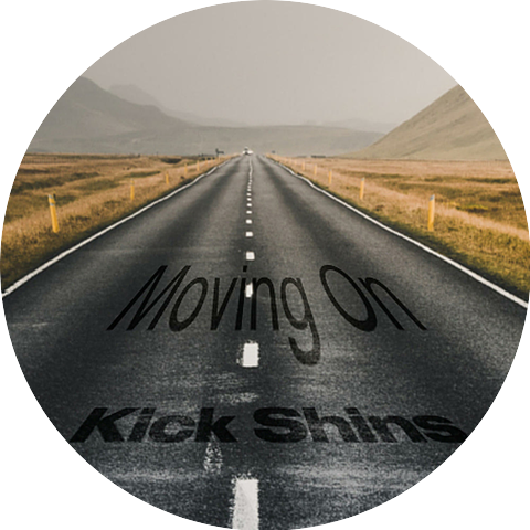 Kick Shins