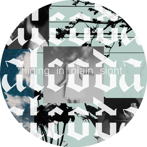 alcoda & Lazy Tree Records
