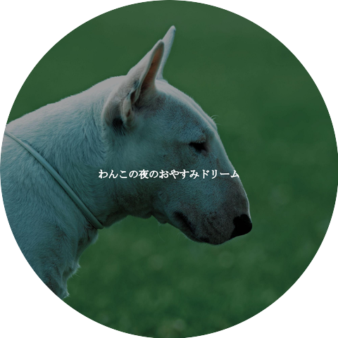 Music for Cooking Playlist