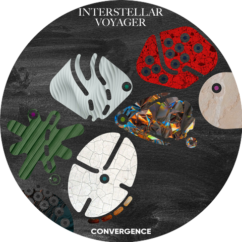 Interstellar Voyager