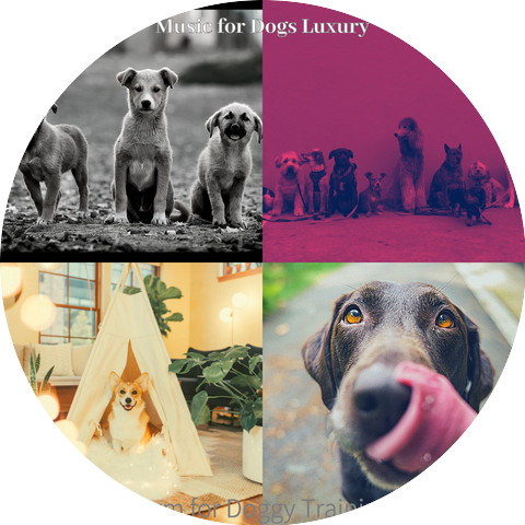 Music for Dogs Luxury
