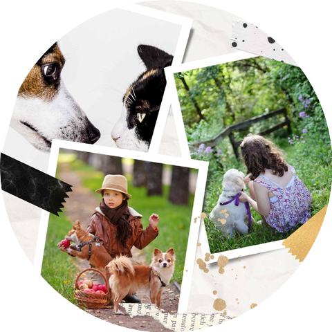 Music for Dogs Classics