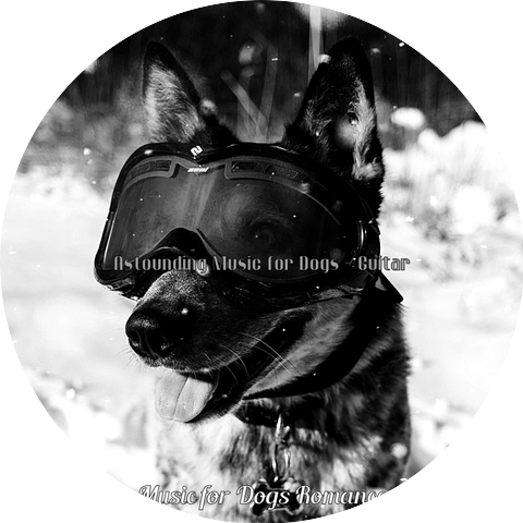 Music for Dogs Romance