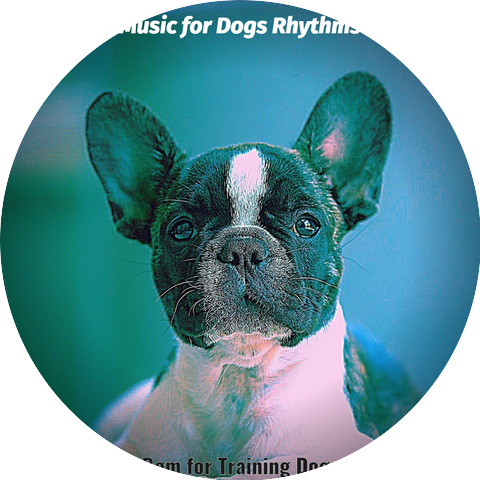 Music for Dogs Rhythms