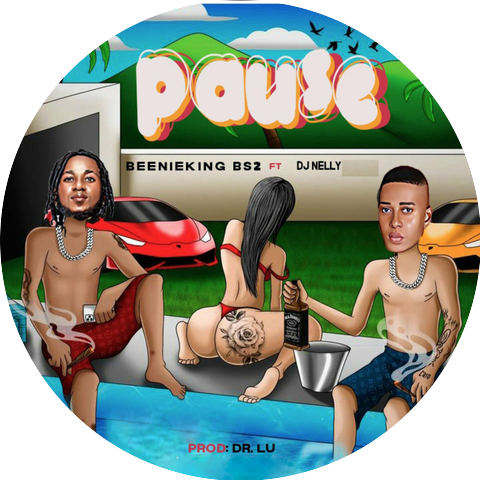 Beenieking BS2