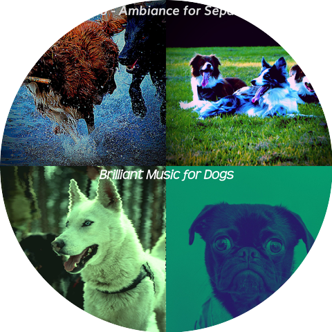 Brilliant Music for Dogs