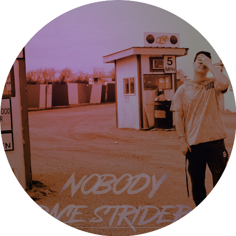Trace Strider