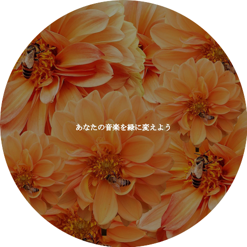 Classic Bosas Nova Radio