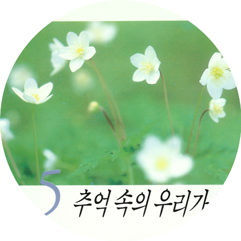 Jin Bangnam